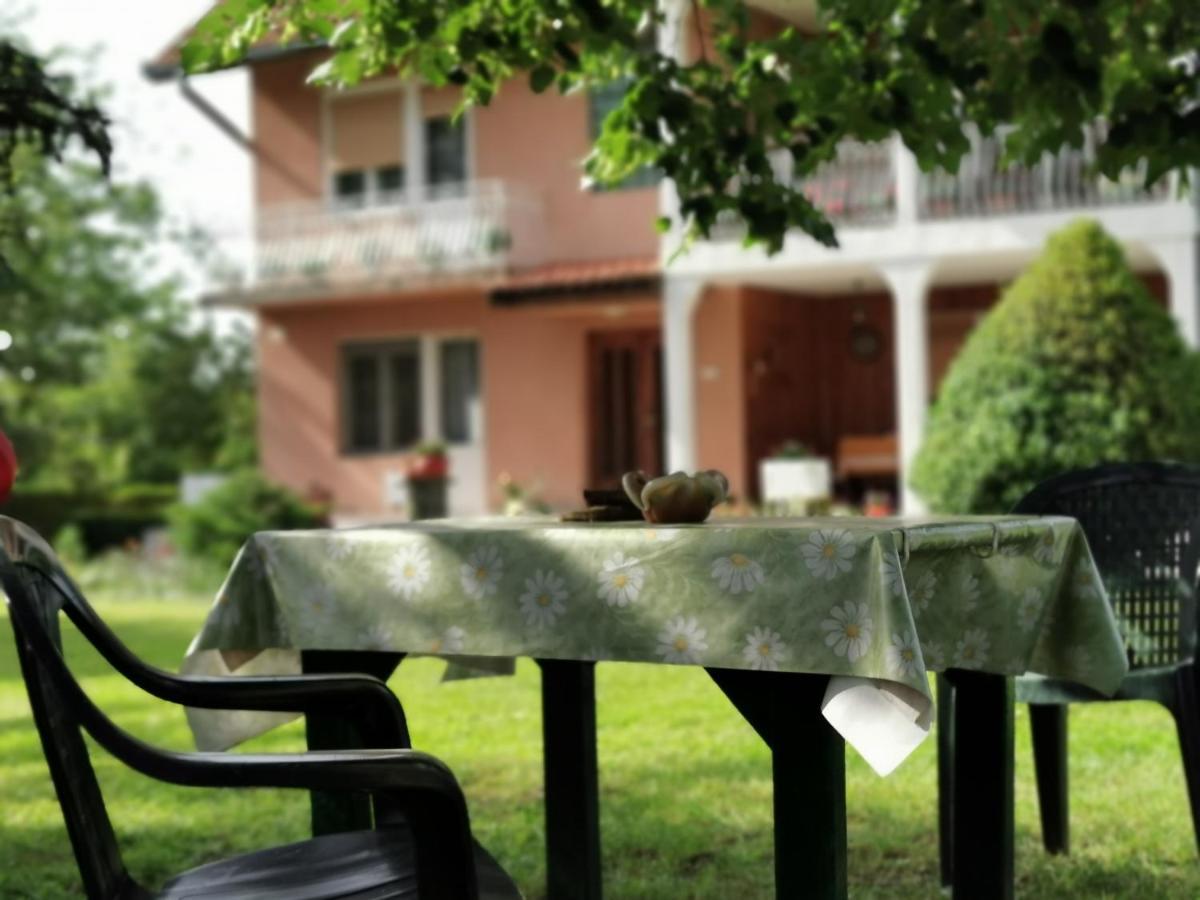 Apartments Domacinstvo Nikolic Valjevo Bagian luar foto
