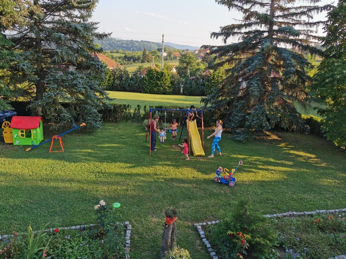 Apartments Domacinstvo Nikolic Valjevo Bagian luar foto