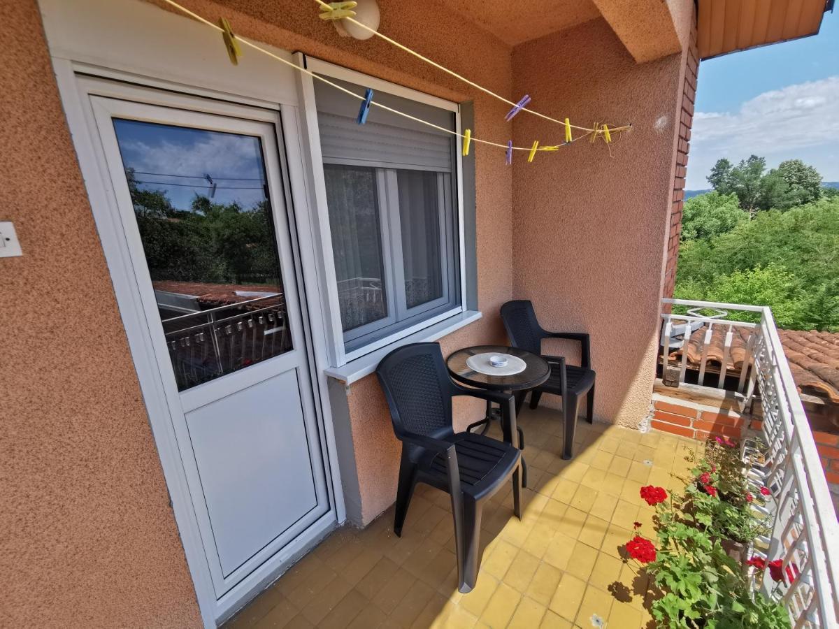 Apartments Domacinstvo Nikolic Valjevo Bagian luar foto