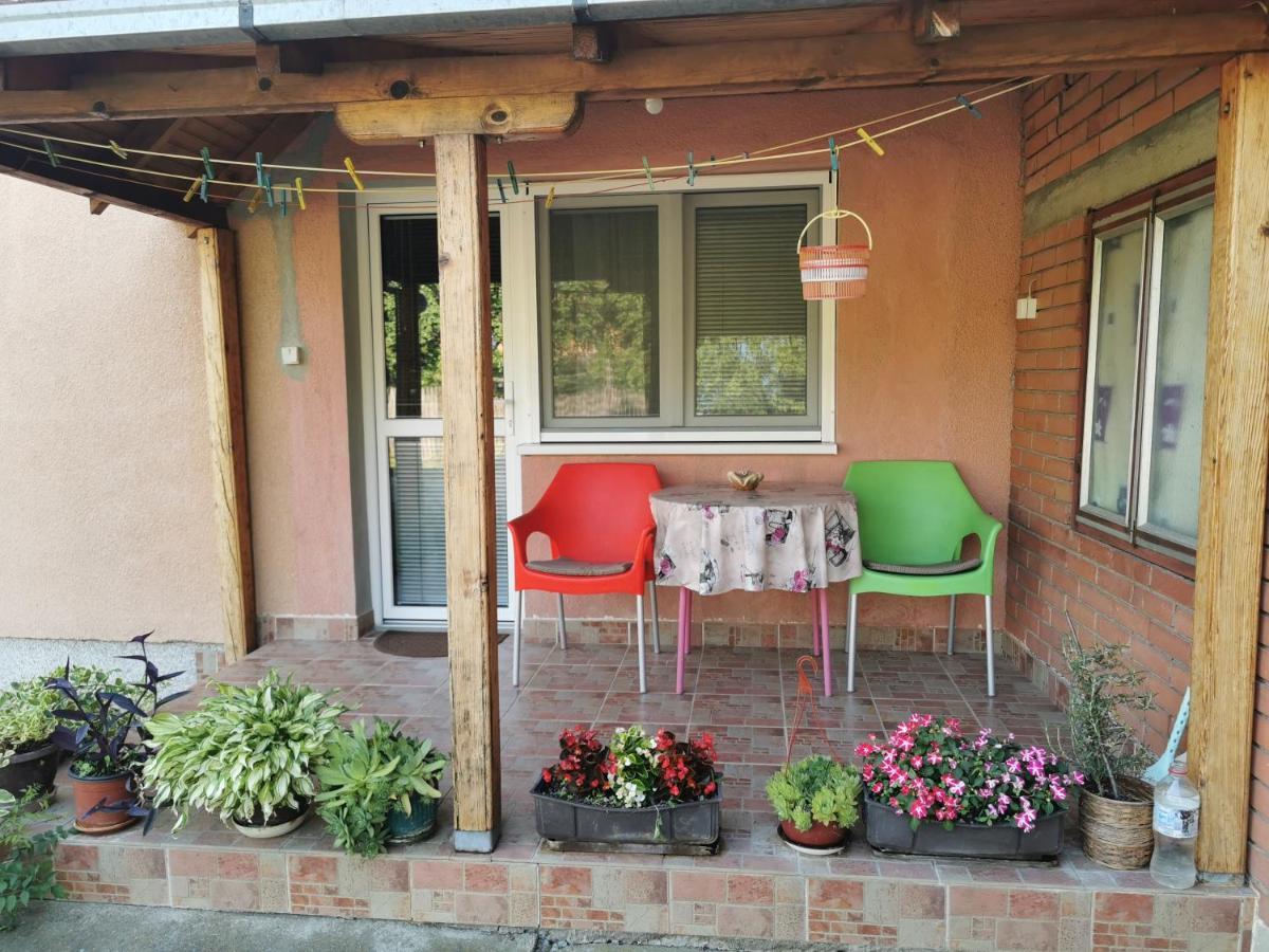 Apartments Domacinstvo Nikolic Valjevo Bagian luar foto
