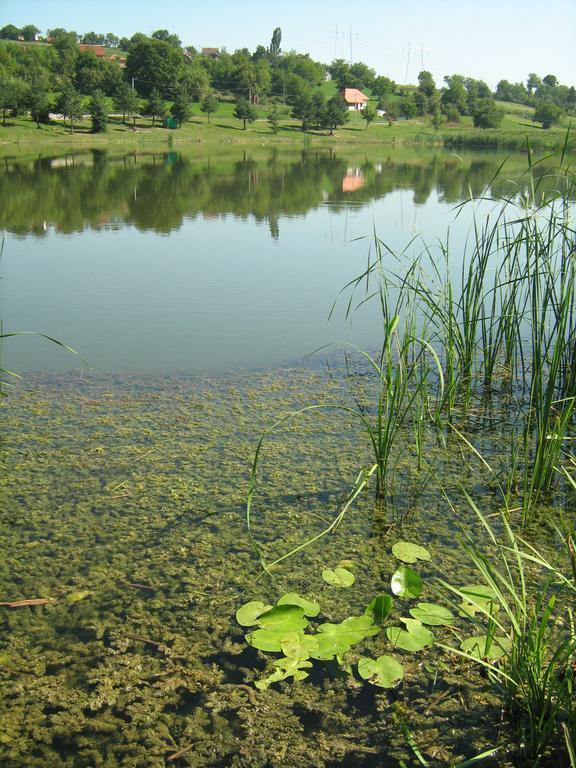 Apartments Domacinstvo Nikolic Valjevo Bagian luar foto