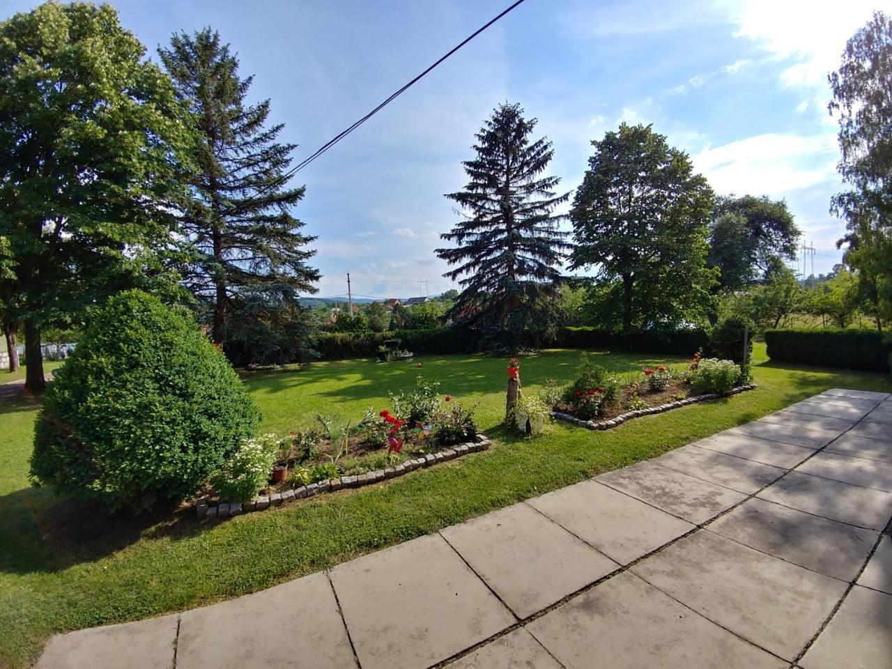 Apartments Domacinstvo Nikolic Valjevo Bagian luar foto