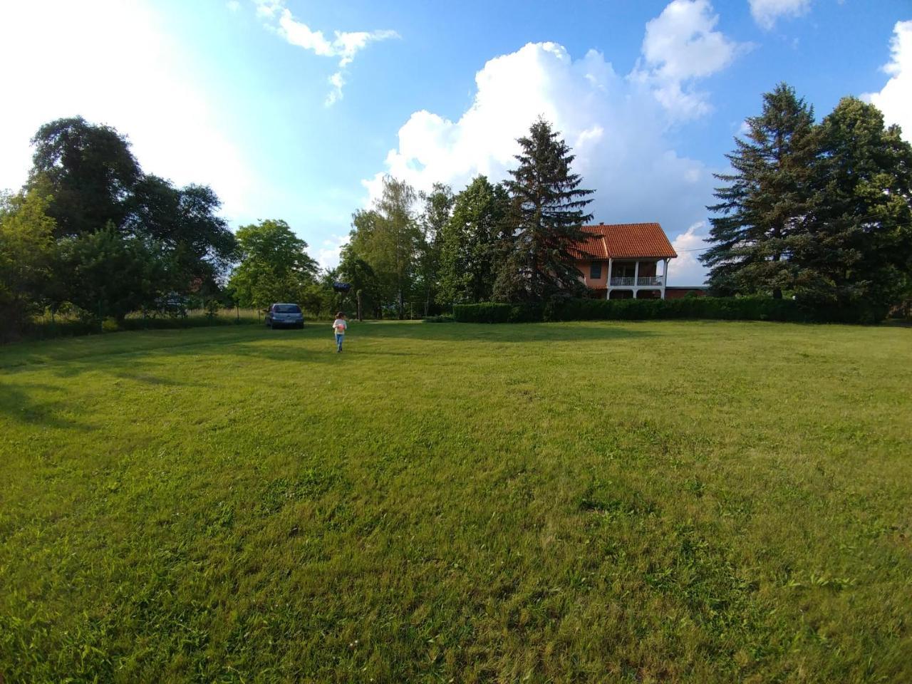 Apartments Domacinstvo Nikolic Valjevo Bagian luar foto